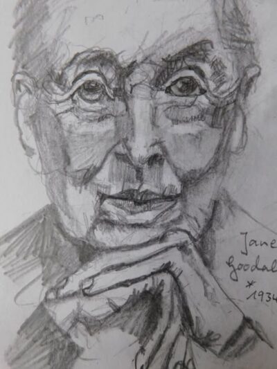 Portrait Jane Goodall